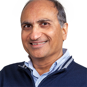 Rajesh N. Dave, Ph.D.